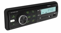 Магнитола USB Prology CMU-307 B/G